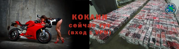 кокс Алзамай