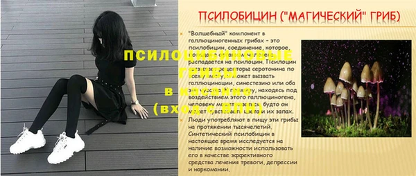 кокс Алзамай