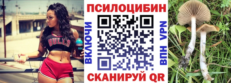 Псилоцибиновые грибы Psilocybine cubensis  блэк спрут зеркало  Плавск 